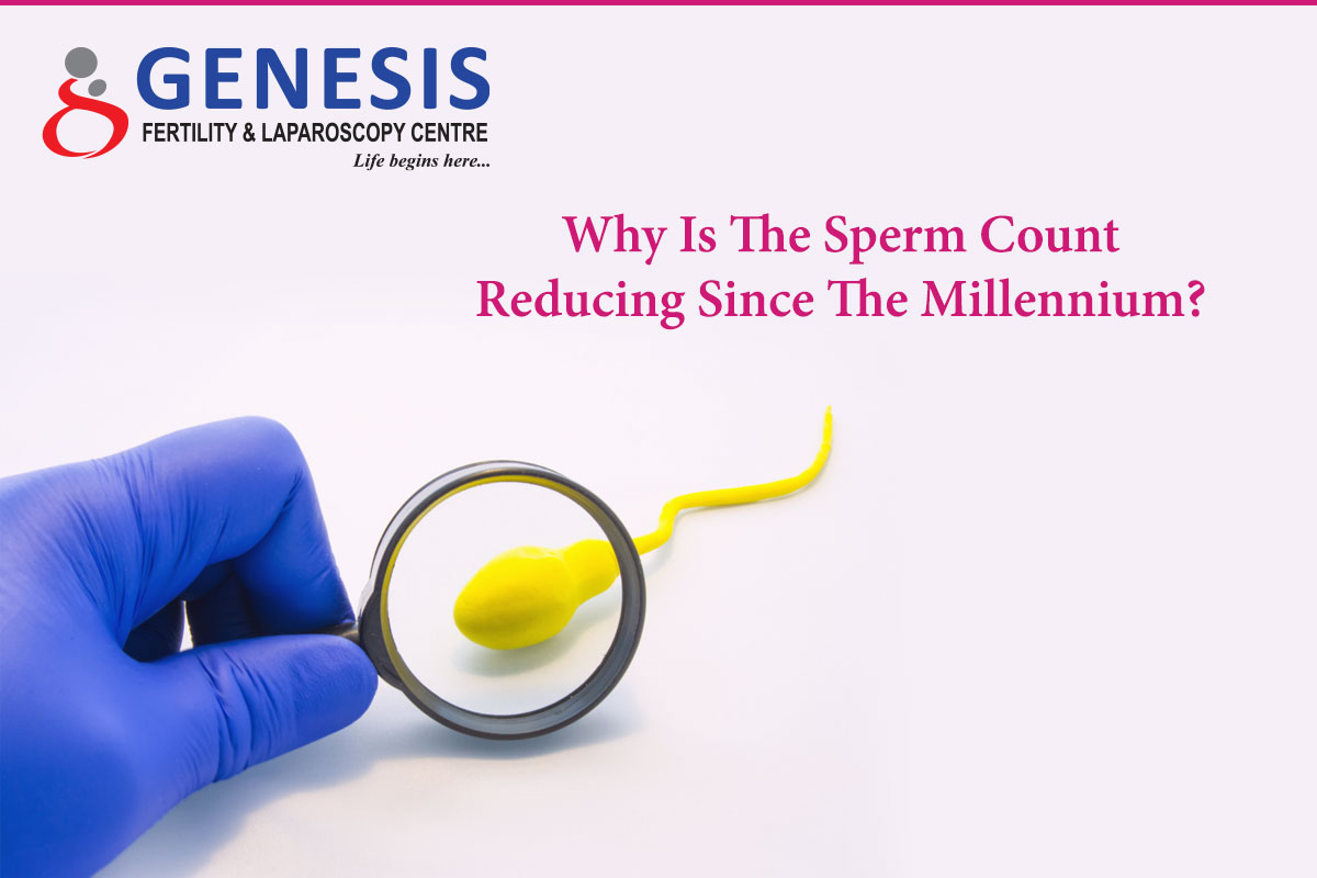 Why Is The Sperm Count Reducing Since The Millennium